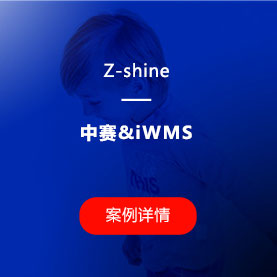wms仓库管理软件